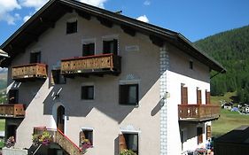 Gardenia Dog-Friendly Apartments